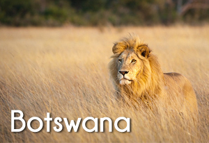 botswana2